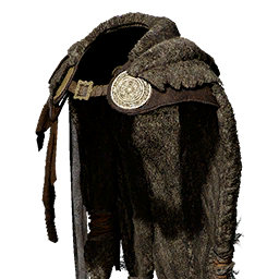 Item icon
