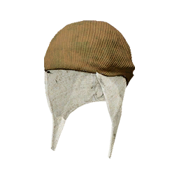 Item icon