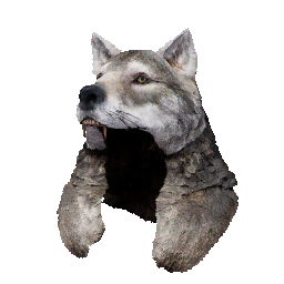 Item icon