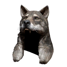 Item icon