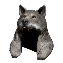 Item icon