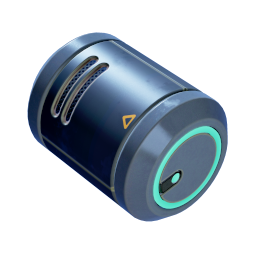 Item icon