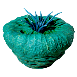 Item icon
