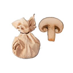 Item icon