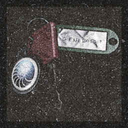 Item icon