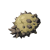 "Moblin Horn" icon