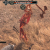 "Bloodthirsty Horror Corpse Axe" icon
