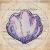 "Briar Clam Shell" icon