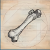 "Whitewyrm Bone" icon