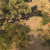 "Rosymorn Monastery Trail" icon