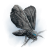 "Vestige Moth" icon