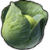 "Cabbage" icon