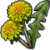 "Dandelion" icon