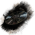 "Nocturne pour Lumière" icon