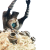 "Potier" icon