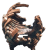 "Chromatic Pétank" icon