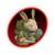 "Rabbit Knight" icon