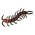 "Centipede" icon