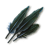 "Monster feather" icon