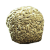 "Brain Fungus" icon