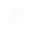 "A Daughter's Memories" icon