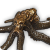 "Skulling" icon