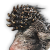 "Hedgeboar" icon