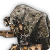 "Old Droid" icon