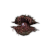 "Terror Clam Hood" icon