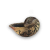 "Shell Cup" icon