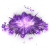 "Echo of Huang Yan" icon