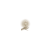 "Withering Touch" icon