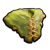 "Clover Poncho" icon