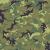 "Leaf" icon
