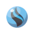 "Charizardite X" icon