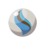 "Blastoisinite" icon