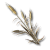 "Reed Rye" icon