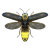 "Firefly" icon