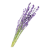 "Lavender" icon