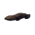 "Salamander" icon