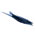 "Black Hoverthorn" icon