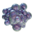 "Axum Bacterial Culture" icon