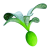 "Cherimoya Rotsac" icon