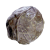 "Fibrous Pulp" icon