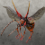 "Killer Queen" icon
