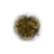 "Golden Rune [11]" icon