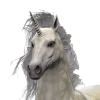 ui_t_unicorn__f_uniquevariation1-be86b6c0.png