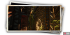 album_photo_cat_01-c1d941d8.png