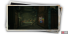 album_photo_cat_02-6cba0c67.png