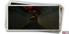 album_photo_cat_04-f1473705.png